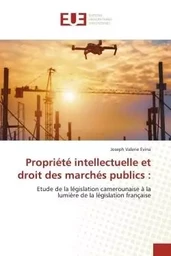 Propriété intellectuelle et droit des marchés publics :