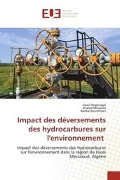 Impact des déversements des hydrocarbures sur l'environnement