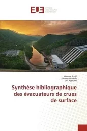 Synthèse bibliographique des évacuateurs de crues de surface