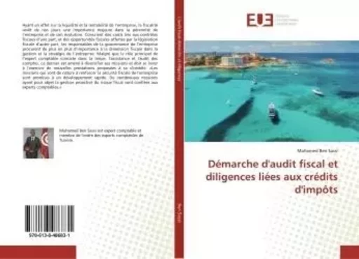 Démarche d'audit fiscal et diligences liées aux crédits d'impôts - Mohamed Ben Sassi - UNIV EUROPEENNE