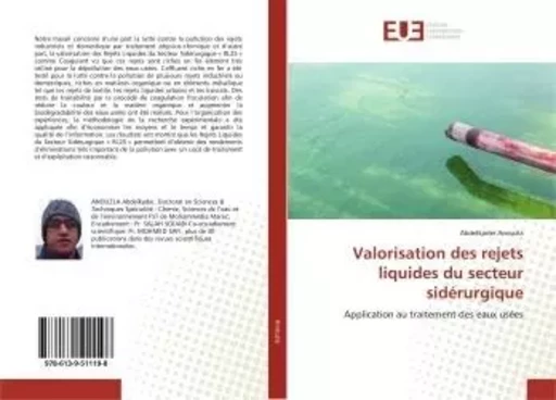 Valorisation des rejets liquides du secteur sidérurgique - Abdelkader Anouzla - UNIV EUROPEENNE