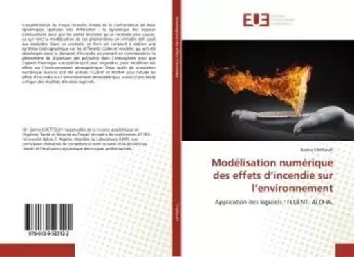 Modélisation numérique des effets d'incendie sur l'environnement -  - UNIV EUROPEENNE