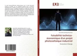 Faisabilité technico-économique d'un projet photovoltaïque industriel