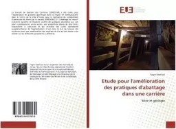 Etude pour l'amélioration des pratiques d'abattage dans une carrière