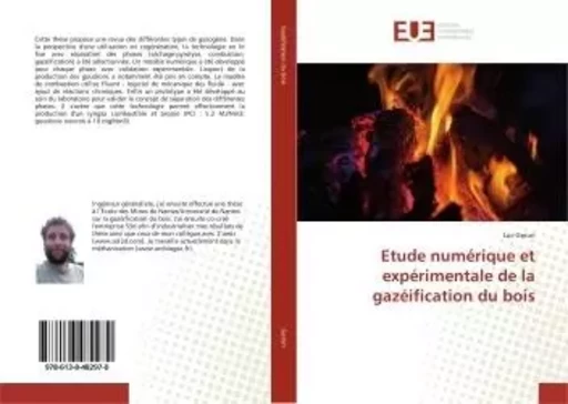 Etude numérique et expérimentale de la gazéification du bois - Luc Gerun - UNIV EUROPEENNE