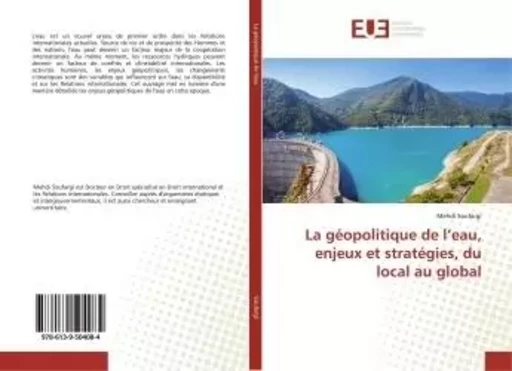 La géopolitique de l'eau, enjeux et stratégies, du local au global - Mehdi Soufargi - UNIV EUROPEENNE