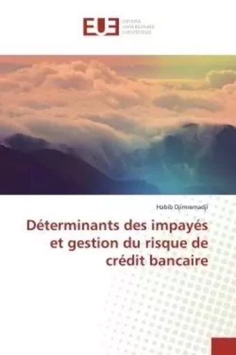 Déterminants des impayés et gestion du risque de crédit bancaire - Habib Djimramadji - UNIV EUROPEENNE