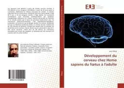 Développement du cerveau chez Homo sapiens du foetus à l'adulte