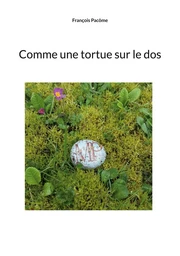 Comme une tortue