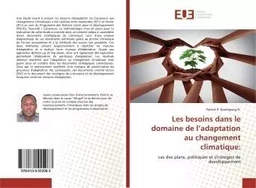 Les besoins dans le domaine de l'adaptation au changement climatique: