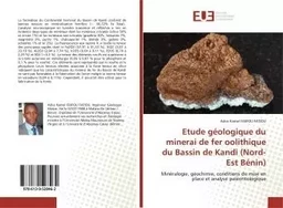 Etude géologique du minerai de fer oolithique du Bassin de Kandi (Nord-Est Bénin)