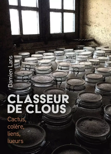 Classeur de clous - Damien Lans - LIBRINOVA