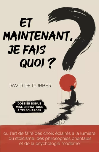 Et maintenant, je fais quoi ? - David De Cubber - LIBRINOVA