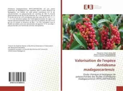 Valorisation de l'espèce Antidesma madagascariensis - Manarivo Ulrich - UNIV EUROPEENNE