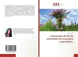 L'extraction de l'huile essentielle de Lavandula angustifolia.