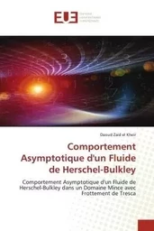 Comportement Asymptotique d'un Fluide de Herschel-Bulkley