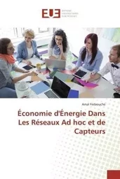 Économie d'Énergie Dans Les Réseaux Ad hoc et de Capteurs