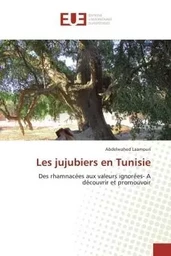 Les jujubiers en Tunisie