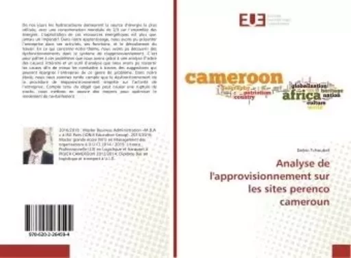 Analyse de l'approvisionnement sur les sites perenco cameroun - Dalvin Tchoubet - UNIV EUROPEENNE