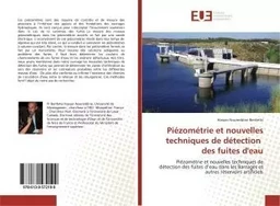 Piézométrie et nouvelles techniques de détection des fuites d'eau