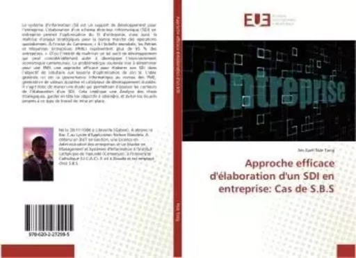 Approche efficace d'élaboration d'un SDI en entreprise: Cas de S.B.S - Jim Gaël Nze Tang - UNIV EUROPEENNE