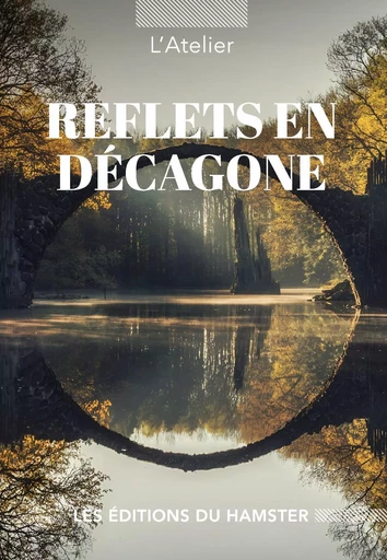 REFLETS EN DÉCAGONE -  L'Atelier - HAMSTER