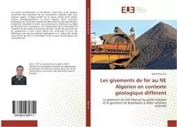 Les gisements de fer au NE Algérien en contexte géologique différent