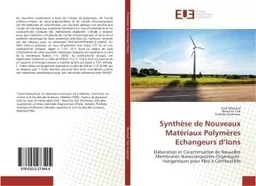 Synthèse de Nouveaux Matériaux Polymères Echangeurs d'Ions