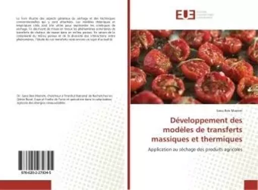 Développement des modèles de transferts massiques et thermiques - Sana Ben Mariem - UNIV EUROPEENNE