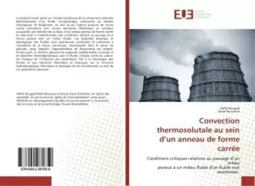 Convection thermosolutale au sein d'un anneau de forme carrée - Rafik Rougabs - UNIV EUROPEENNE