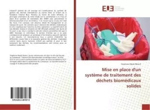 Mise en place d'un systeme de traitement des dechets biomedicaux solides - Stephane Benoit - UNIV EUROPEENNE