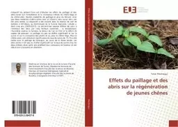 Effets du paillage et des abris sur la régénération de jeunes chênes