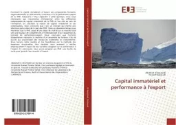 Capital immatériel et performance à l'export