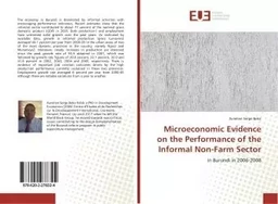 Microeconomic evidence on the Performance of the Informal Non-Farm Sector