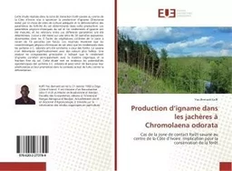 Production d'igname dans les jachères à Chromolaena odorata