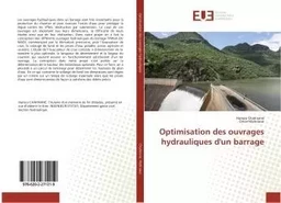 Optimisation des ouvrages hydrauliques d'un barrage