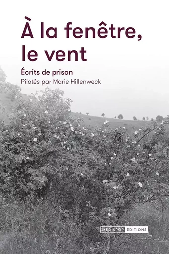 A LA FENETRE, LE VENT - Marie HILLENWECK - MEDIAPOP