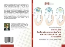 Etudes des Dysfonctionnements d'une station d'epuration des eaux usees