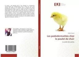 Les pododermatites chez le poulet de chair