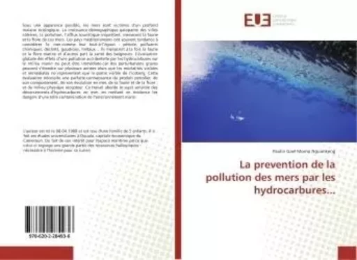 La prevention de la pollution des mers par les hydrocarbures... - Paulin Gael Momo Nguimkeng - UNIV EUROPEENNE