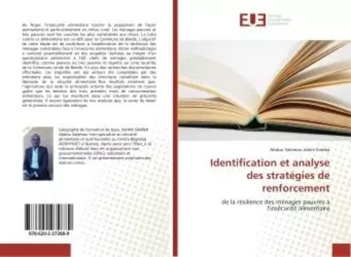 Identification et analyse des stratégies de renforcement - Abdou Salamou Adam Samba - UNIV EUROPEENNE