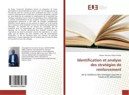 Identification et analyse des stratégies de renforcement