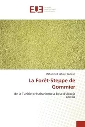 La Forêt-Steppe de Gommier