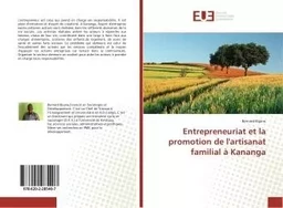 Entrepreneuriat et la promotion de l'artisanat familial à Kananga