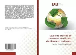 Etude de procede de conversion de dechets plastiques en carbuants