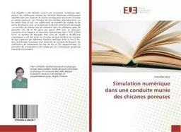 Simulation numerique dans une conduite munie des chicanes poreuses