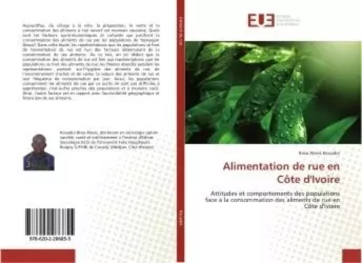 Alimentation de rue en cote d'Ivoire - Brou Kouadio - UNIV EUROPEENNE