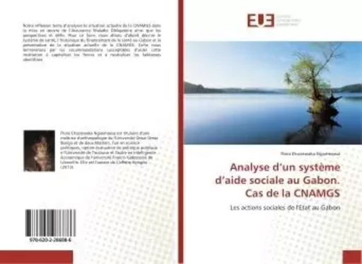 Analyse d'un système d'aide sociale au Gabon. Cas de la CNAMGS - Flora Ekozawaka Nguémassa - UNIV EUROPEENNE