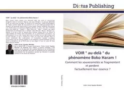 VOIR " au-delà " du phénomène Boko Haram !