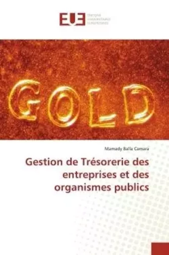 Gestion de Trésorerie des entreprises et des organismes publics - Mamady Balla Camara - UNIV EUROPEENNE